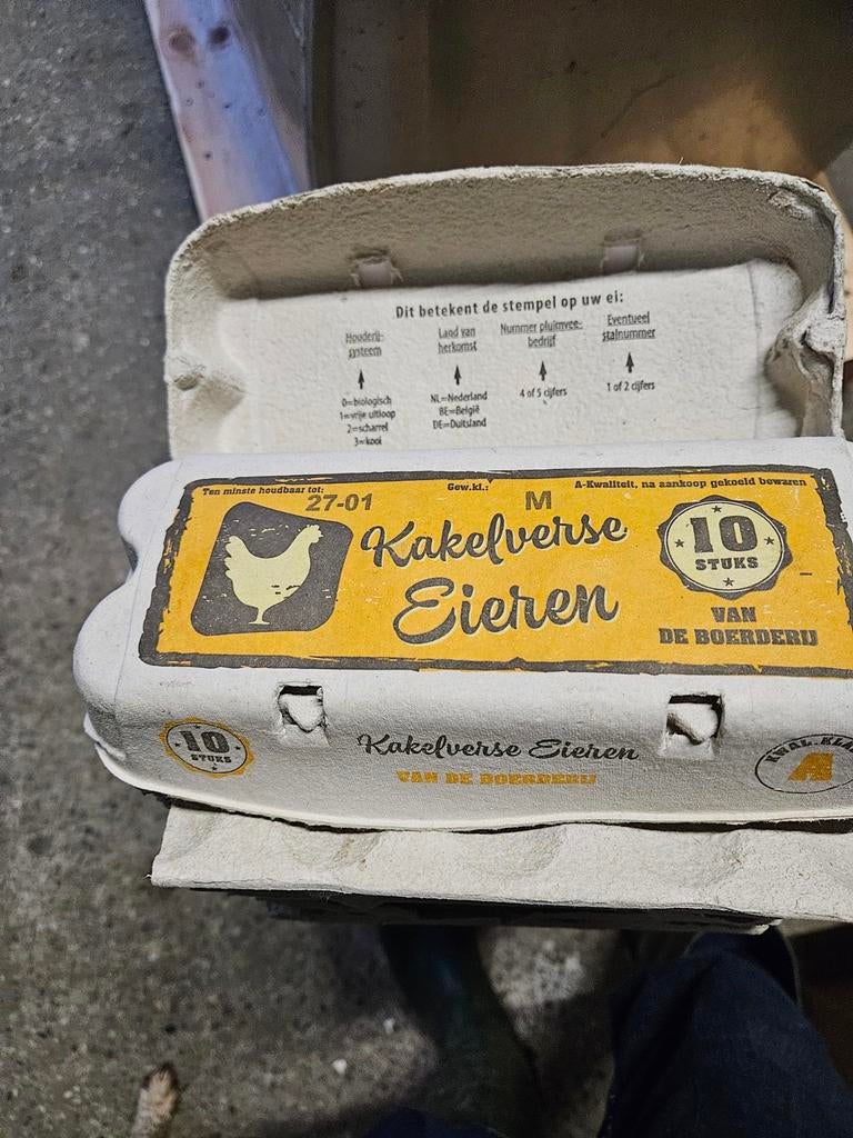 Lege eierdozen voor 10 eieren eierdoosjes, Ophalen, Gebruikt