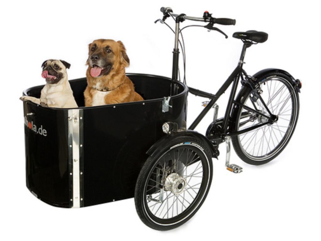 Bakfietsen voor de hond, kinderen of vracht Nu grote korting, Overige merken, Huif, Nieuw, Ophalen of Verzenden