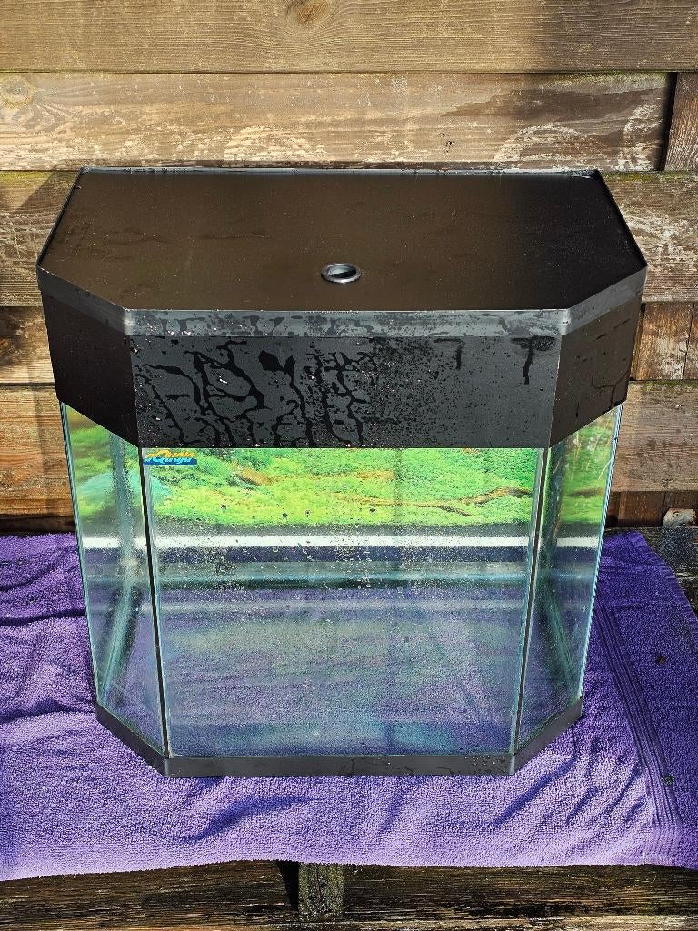 % Design aQuaja aquarium met schuine kanten 40 liter ong., Ophalen, Gebruikt, Leeg aquarium