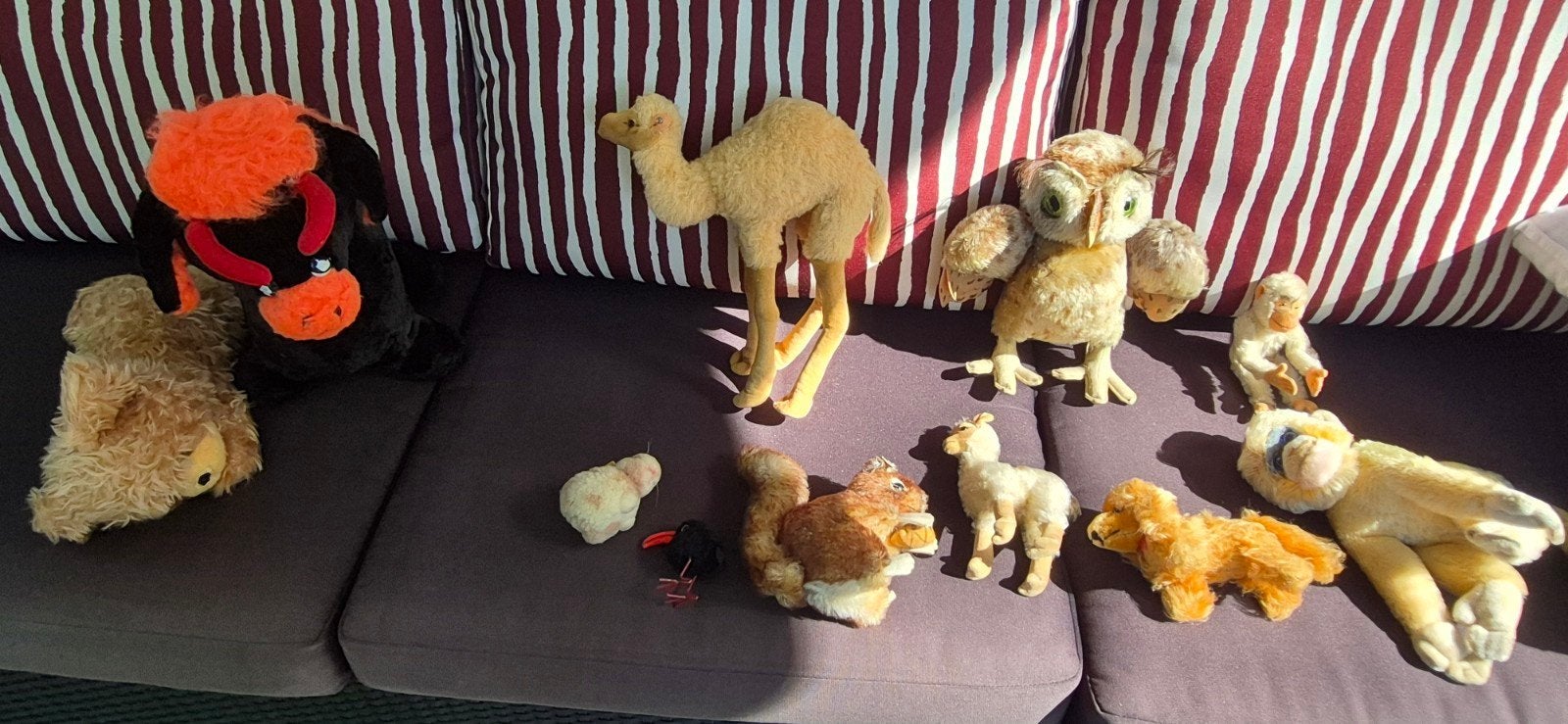 11 antieke Steiff pluche mohair diertjes zeldzaamme collecti, Ophalen of Verzenden