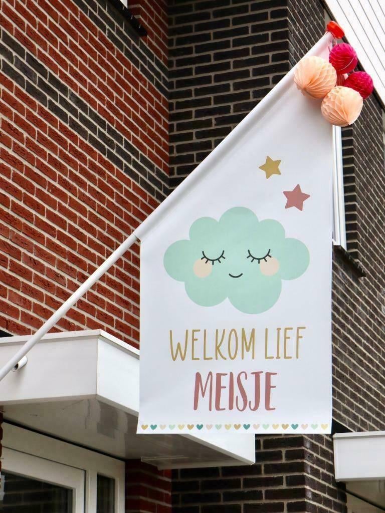 Geboortevlag te huur!, Ophalen, Zo goed als nieuw, Geboortebord