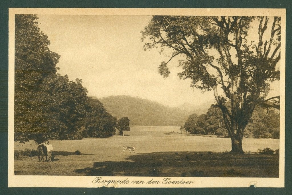 AK Nederlands Indie Lux Bergweide van den Goentoer, Ophalen of Verzenden, Voor 1920, Ongelopen