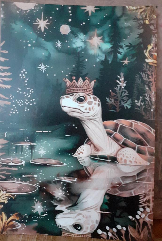 kaart, schildpad, Dieren en Toebehoren, Reptielen en Amfibieën, Schildpad, Tam, 0 tot 2 jaar