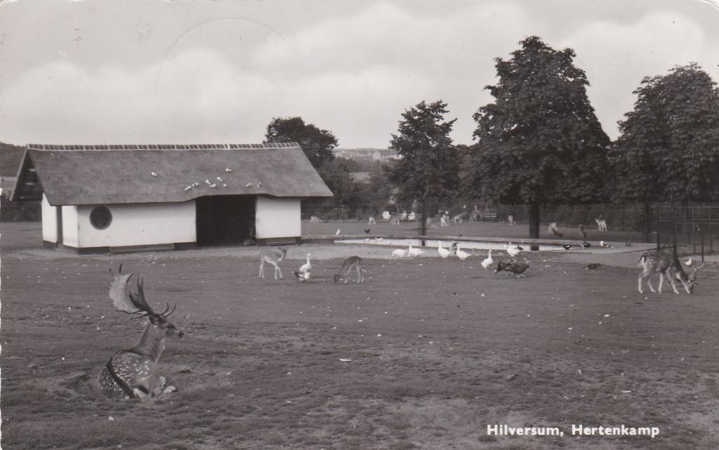 GA1284 Hilversum Hertenkamp Den Bosch Eemnes Bunnik Baarn, Verzenden, 1960 tot 1980, Ongelopen, Noord-Holland