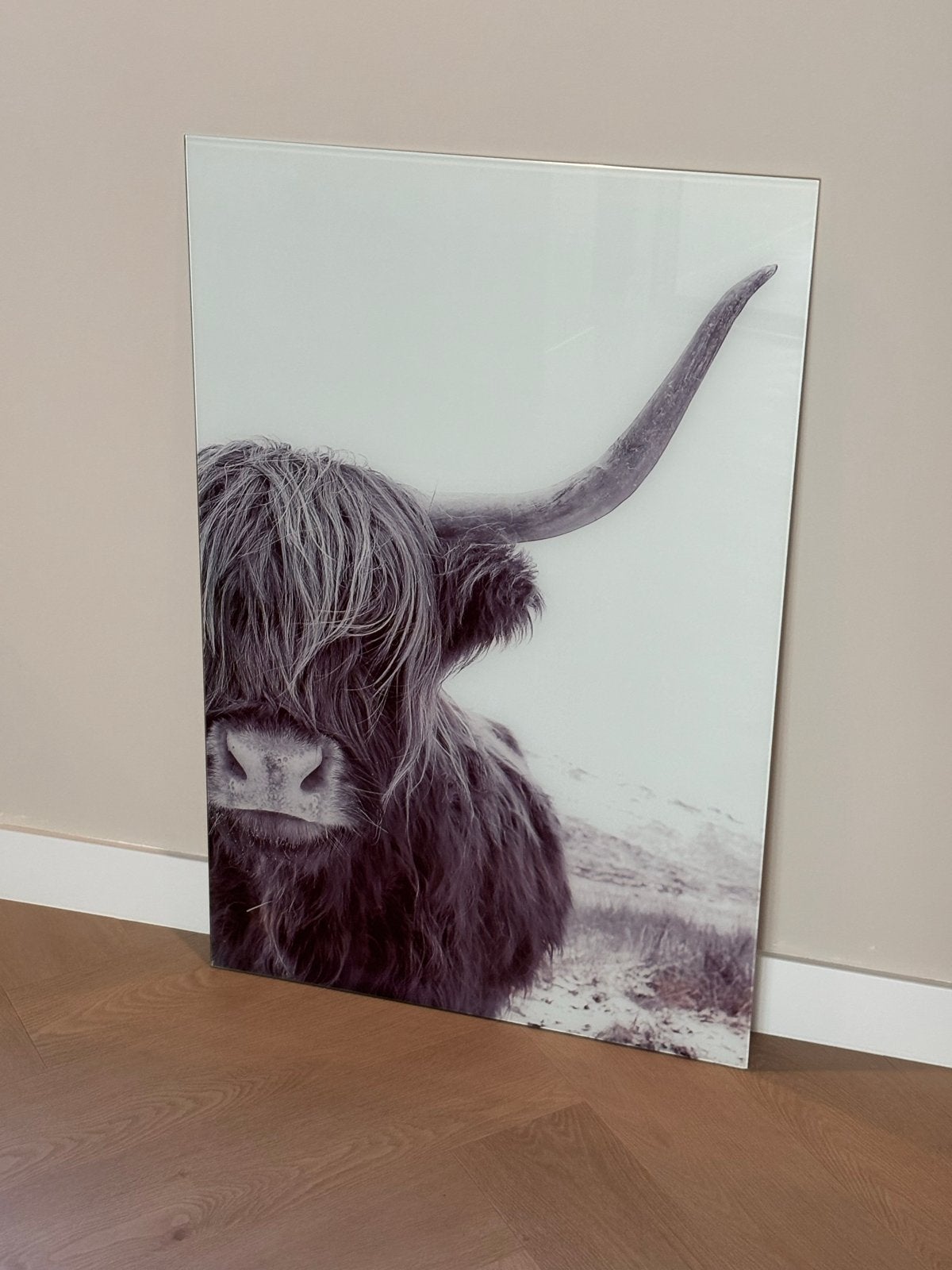 Schotse Hooglander foto op glasplaat 90x60cm, Ophalen, Zo goed als nieuw, Foto of Poster, 75 – 100