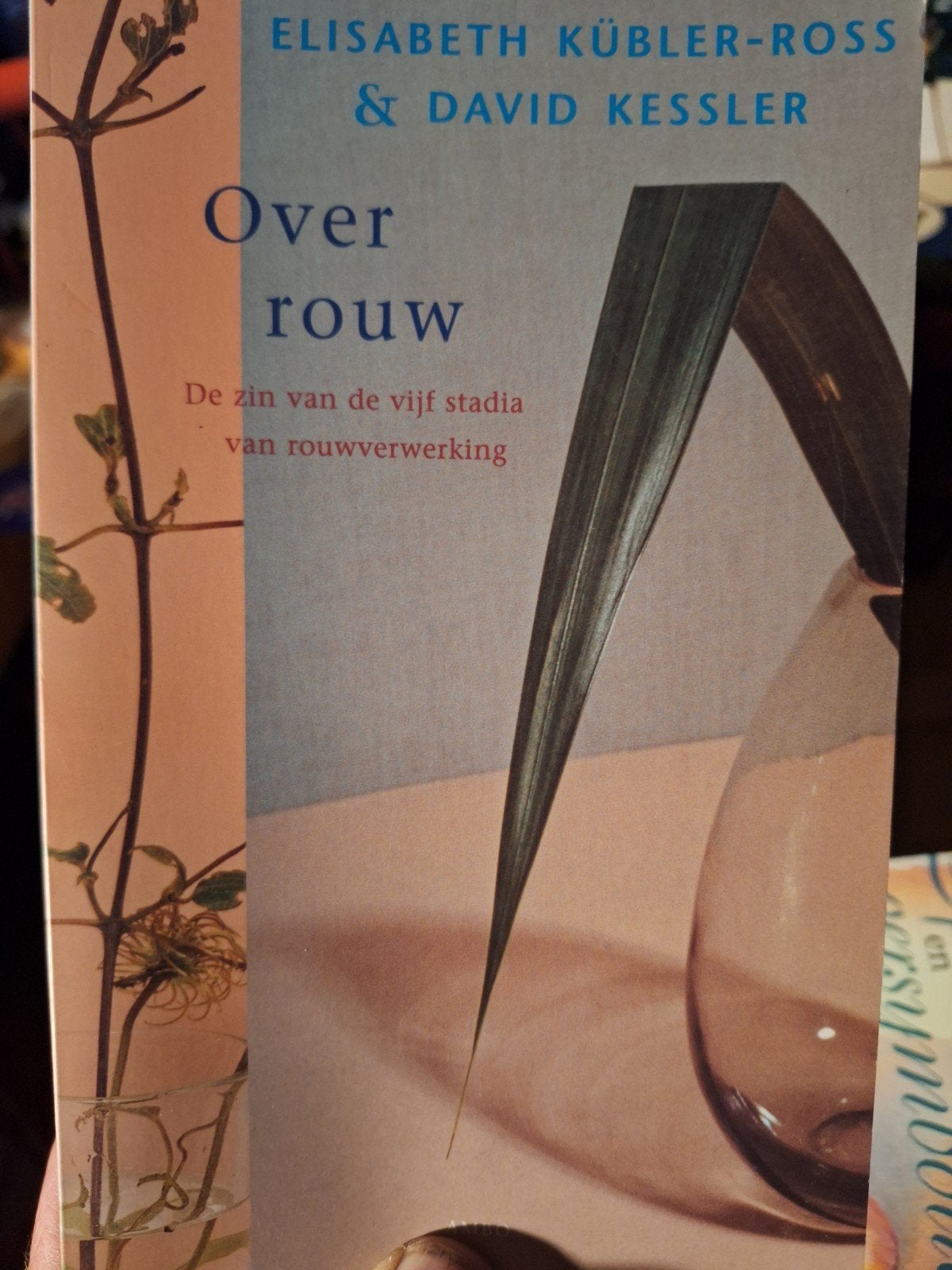 Over rouw - Elisabeth Kübler-Ross & David Kessler ZGAN, Boeken, Ophalen of Verzenden, Zo goed als nieuw