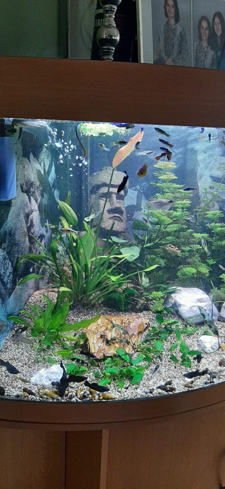 Juwel 350 liter, Dieren en Toebehoren, Vissen | Aquaria en Toebehoren, Ophalen of Verzenden, Zo goed als nieuw, Leeg aquarium