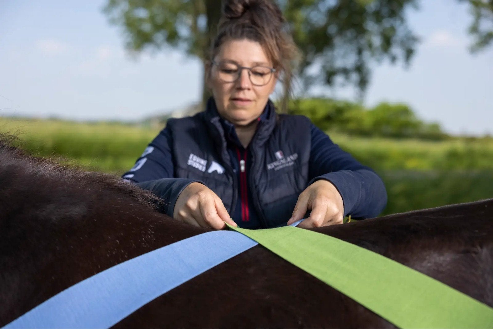 Online cursus Passive Physio Equinestudies,Zefanja Vermeulen, Verzenden, Beta, Nieuw