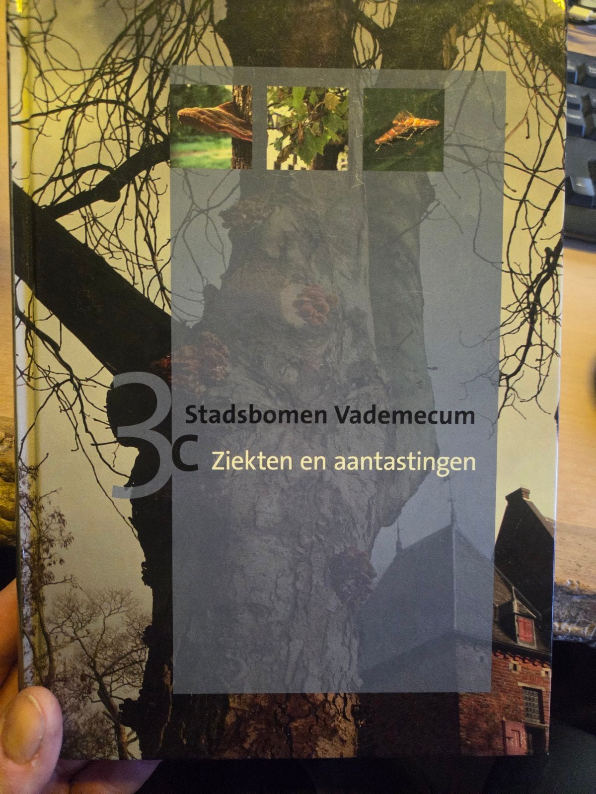 Stadsbomen vademecum 3x(2015), Boeken, Natuur, Nieuw, Natuur algemeen, Ophalen of Verzenden