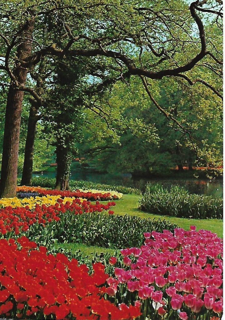 Lisse- -Keukenhof., Verzenden, 1980 tot heden, Gelopen, Zuid-Holland