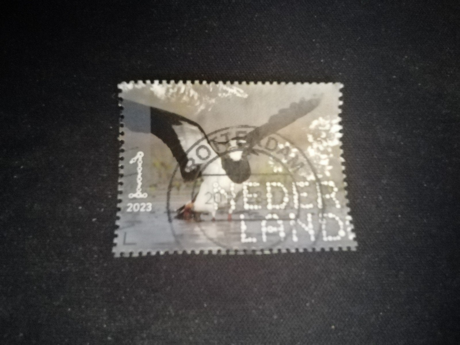 44 NEDERLAND KIEVIT GESTEMPELD, Ophalen of Verzenden, Na 1940, Gestempeld