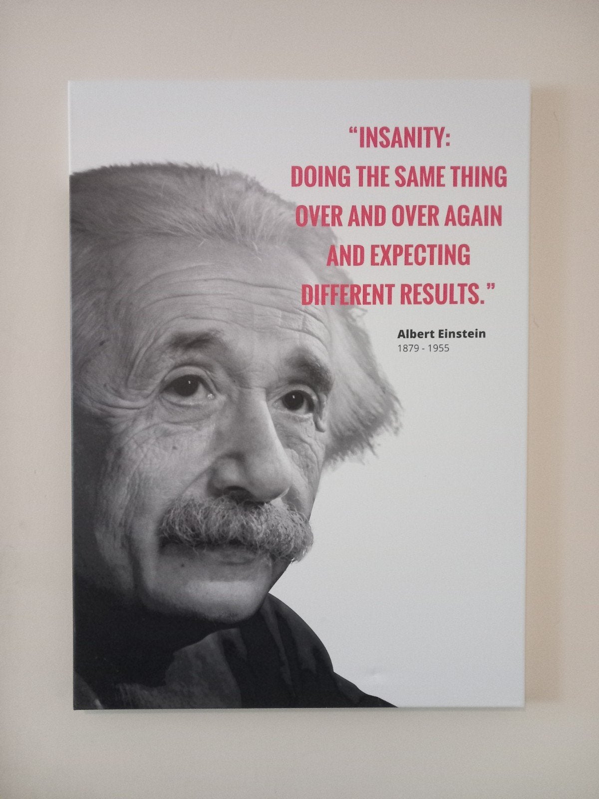 2 Fraaie Canvas doeken Steve Jobs en Albert Einstein, Ophalen, Zo goed als nieuw, 125 cm of meer, Schilderij