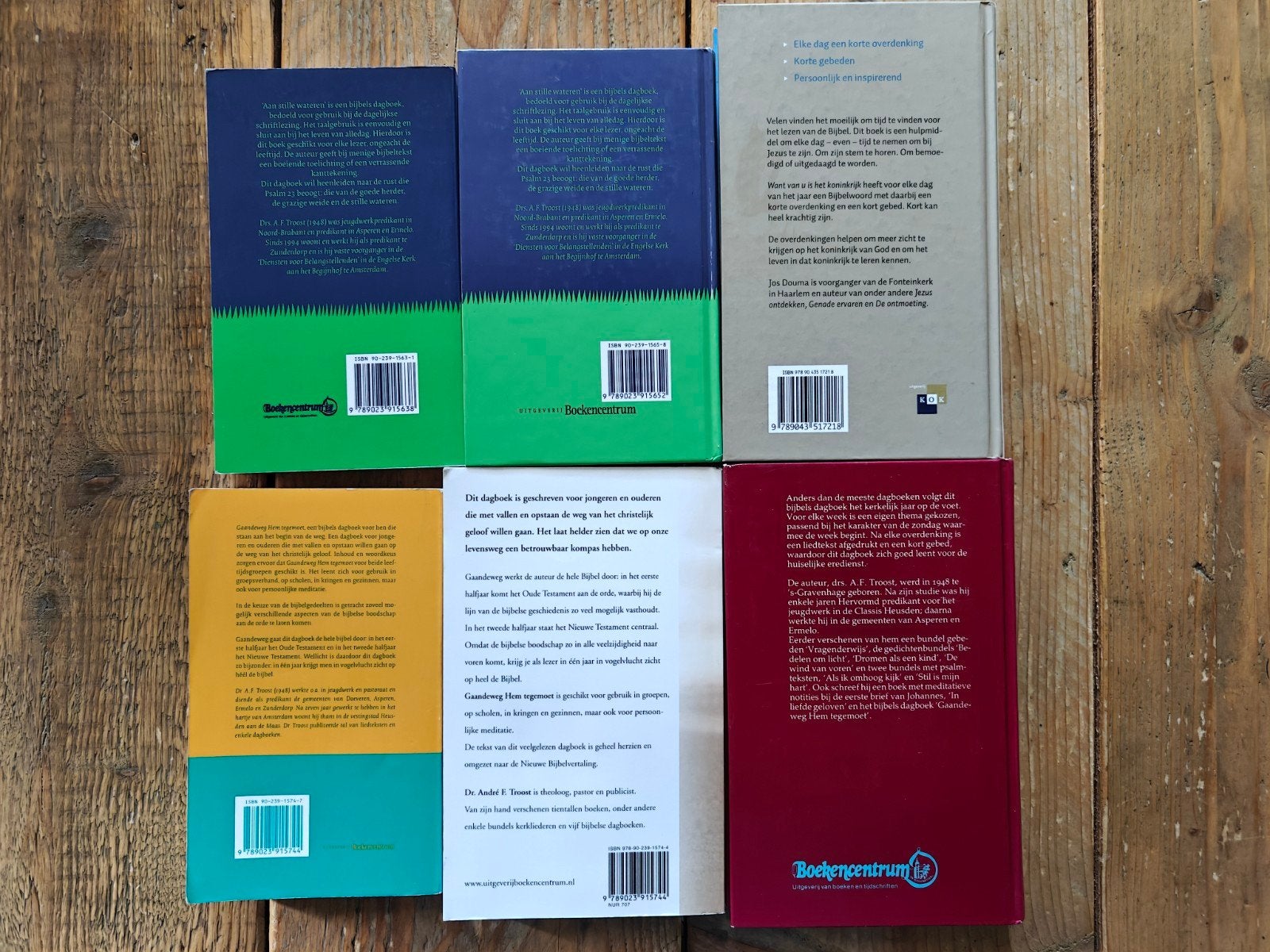 6 Bijbelse dagboeken., Boeken, Godsdienst en Theologie, Ophalen of Verzenden, Zo goed als nieuw