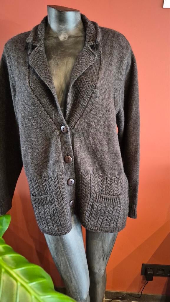 Green ice vest met mohair, maat 44, Kleding | Dames, Green ice, Ophalen of Verzenden, Maat 42/44 (L), Bruin
