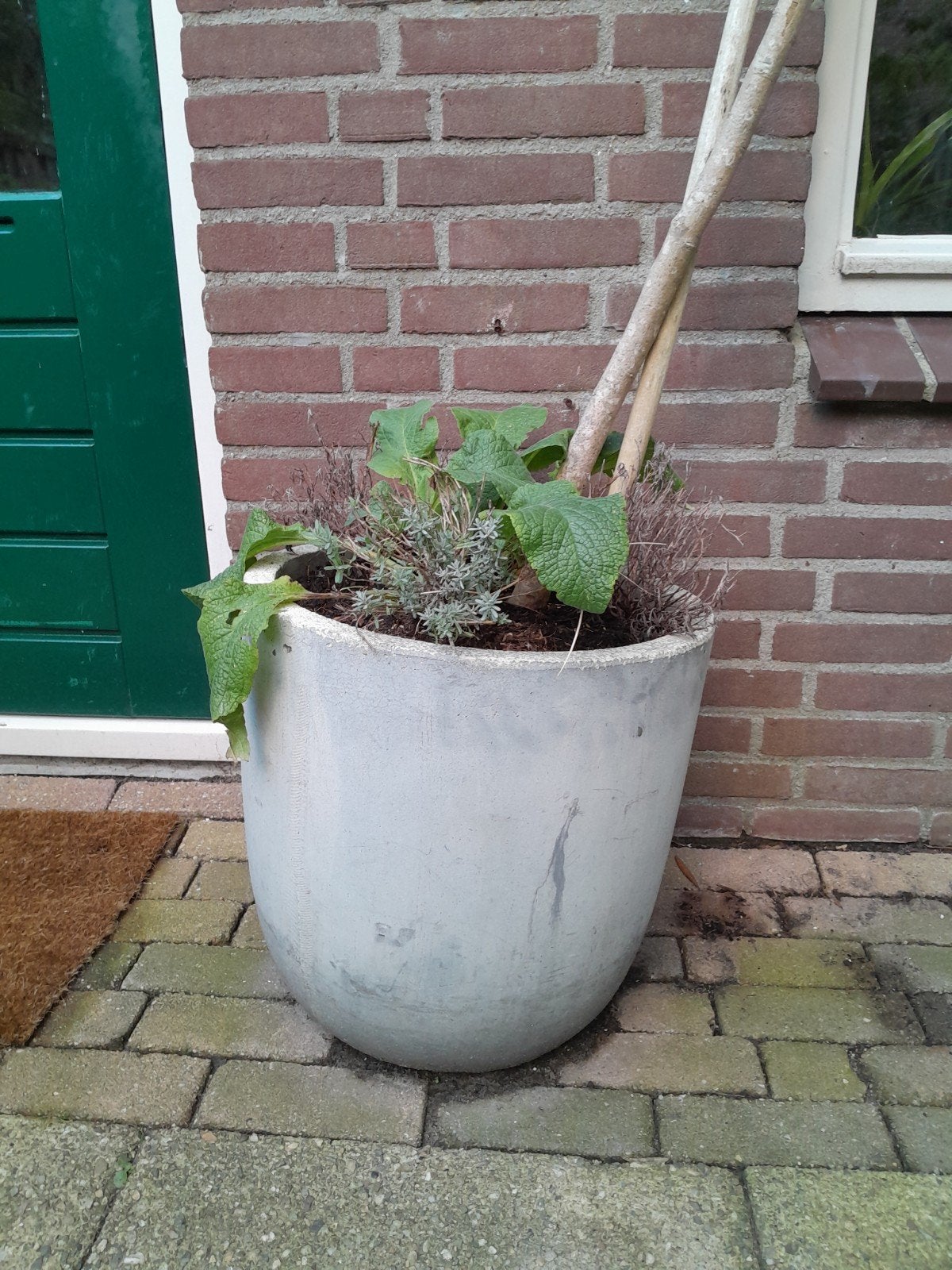 Grote grijze bloempot van beton/steen, Tuin en Terras, Ophalen, Gebruikt, 40 cm of meer, Rond