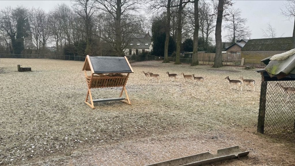 hooiruif, Dieren en Toebehoren, Ophalen of Verzenden, Nieuw