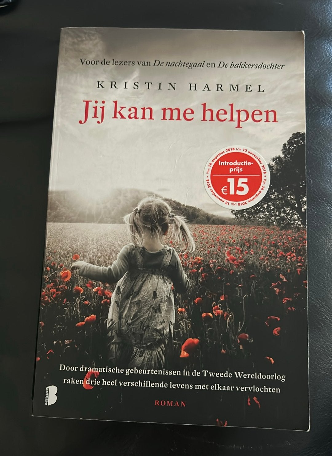 Kristin Harmel - Jij kan me helpen, Boeken, Ophalen of Verzenden, Gelezen, Kristin Harmel