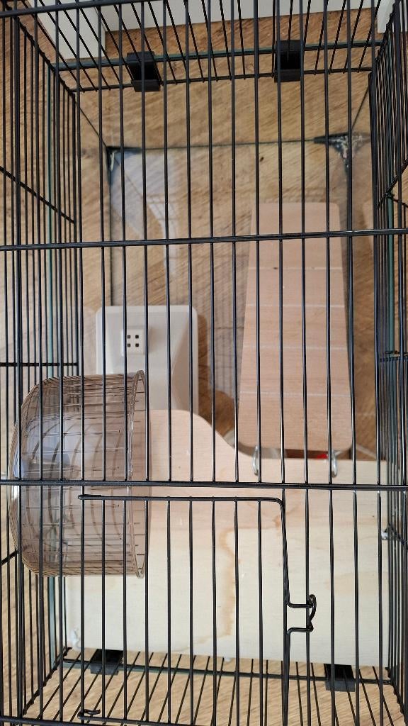 Hamsterkooi als nieuw, Dieren en Toebehoren, Kooi, Minder dan 75 cm, Zo goed als nieuw, Hamster