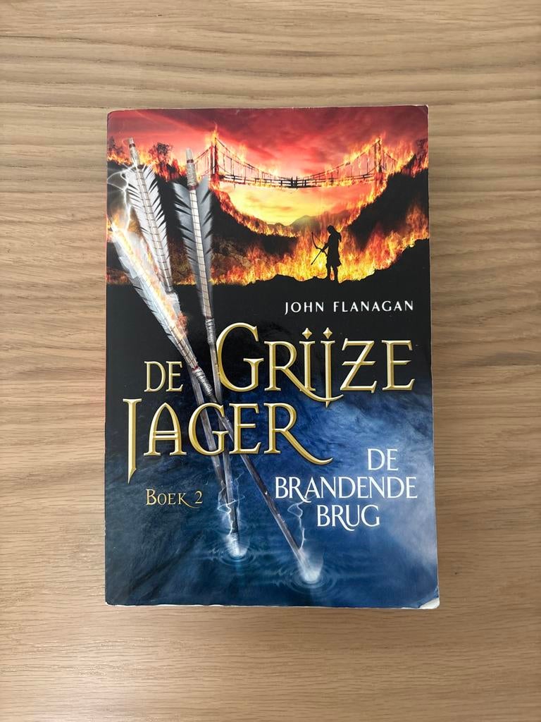 De Grijze Jager boek 2, Boeken, Fantasy, Zo goed als nieuw, Ophalen of Verzenden