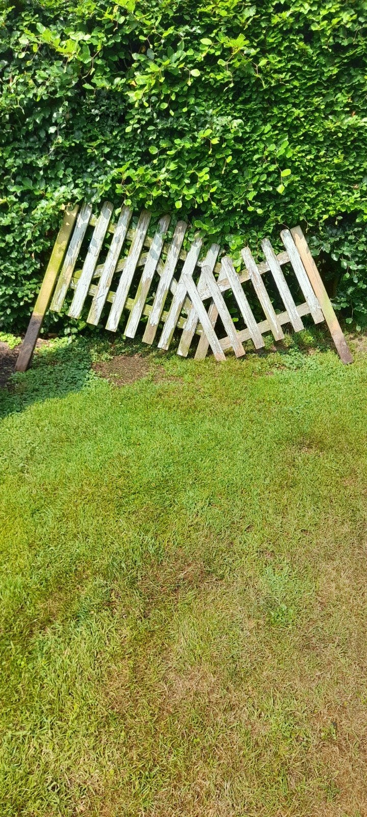 Tuinhekjes, Tuin en Terras, Gebruikt, Minder dan 3 meter, Ophalen of Verzenden, Minder dan 1 meter