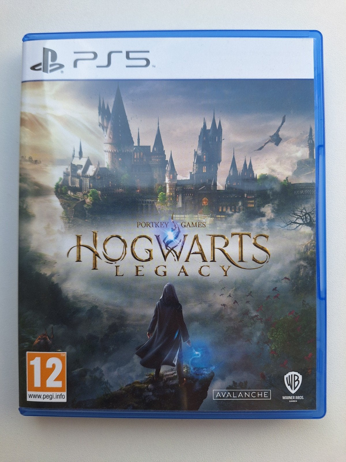 Hogwarts Legacy (PS5), 1 speler, Ophalen of Verzenden, Zo goed als nieuw, Role Playing Game (Rpg)