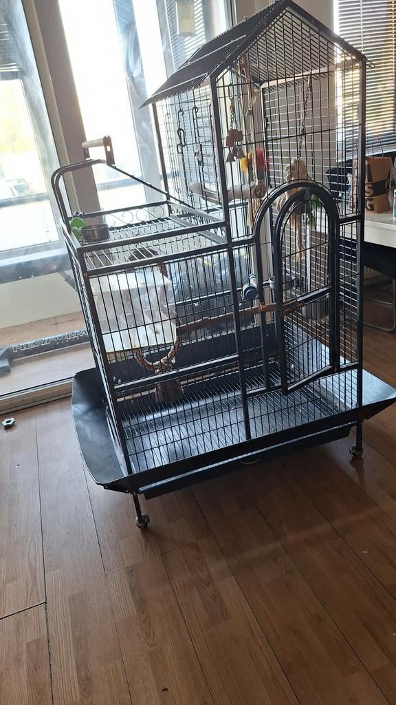 Papegaai kooi, Dieren en Toebehoren, Vogels | Hokken en Kooien, Ophalen of Verzenden, Metaal, Vogelkooi