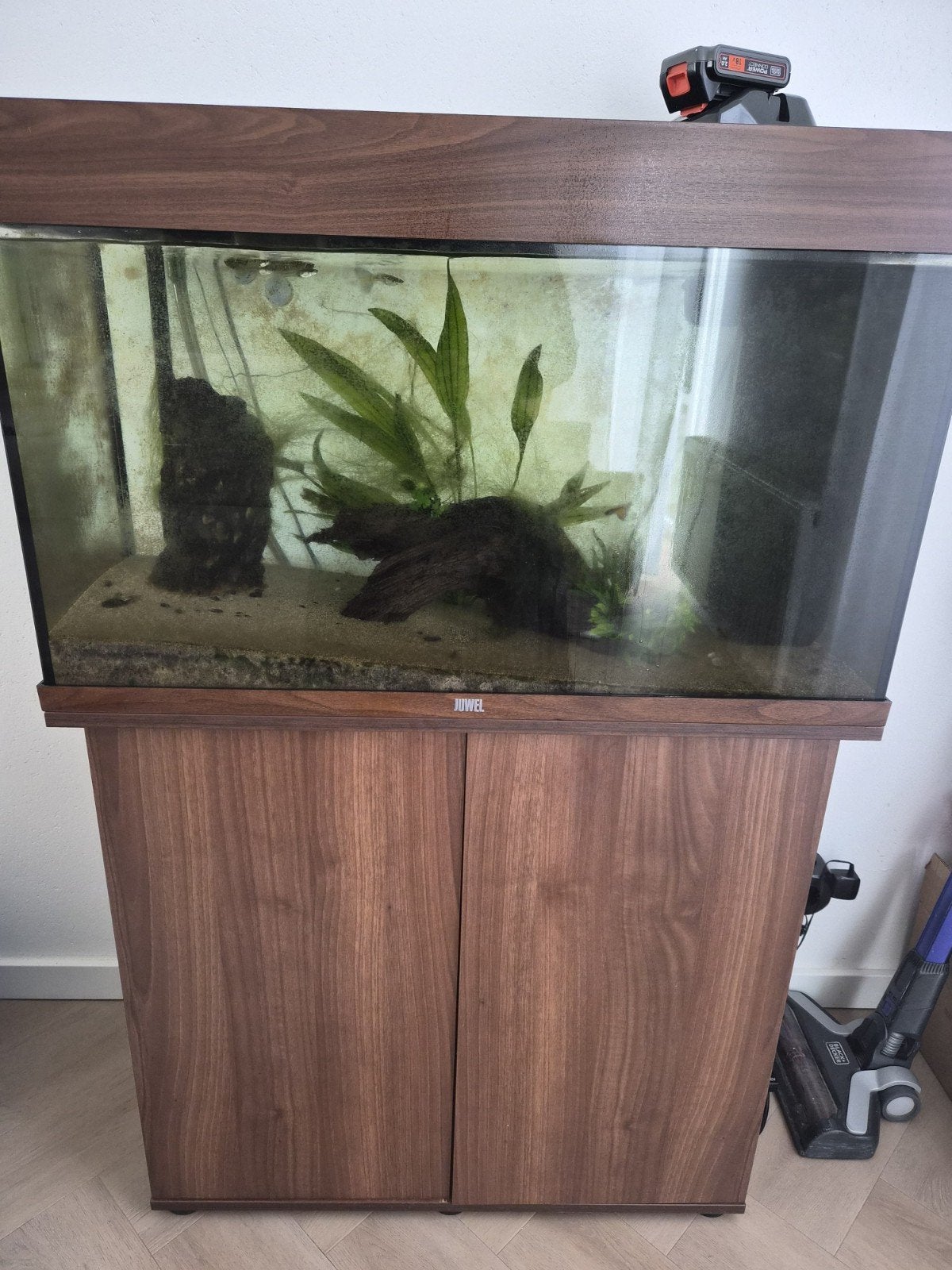 Complete Juwel Rio 125 Aquarium Set + Veel Extra’s (1 jaar o, Ophalen, Inclusief deksel, Aquariummeubel, Zo goed als nieuw