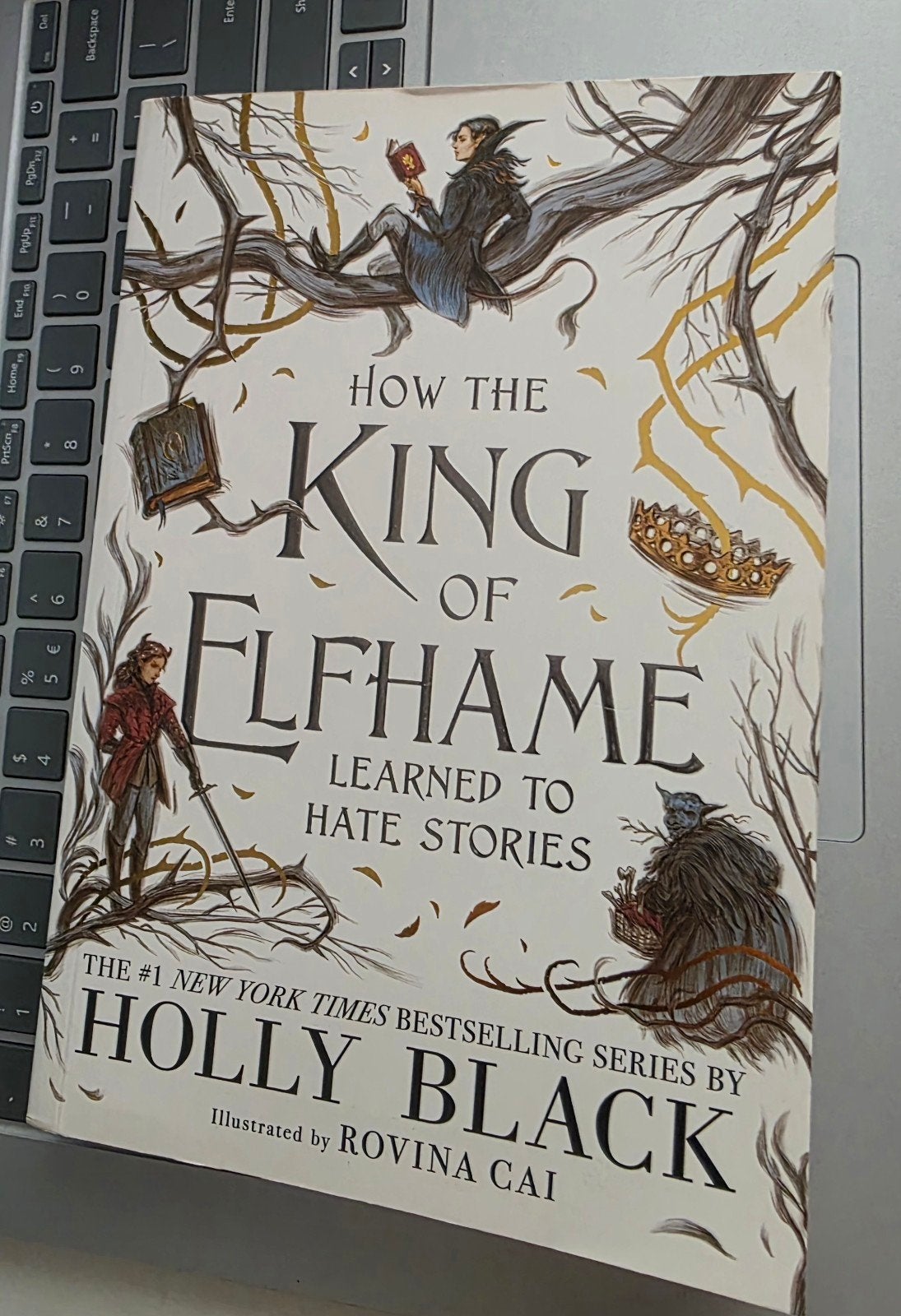Foto 3 van Holly Black Boeken: The Folk of the Air Serie & Elfhame