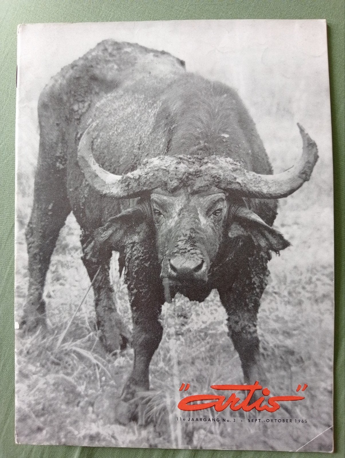 Artis Magazine - 11e Jaargang No. 3 (Sept-Okt 1965), Ophalen of Verzenden, Gelezen, Wetenschap en Natuur