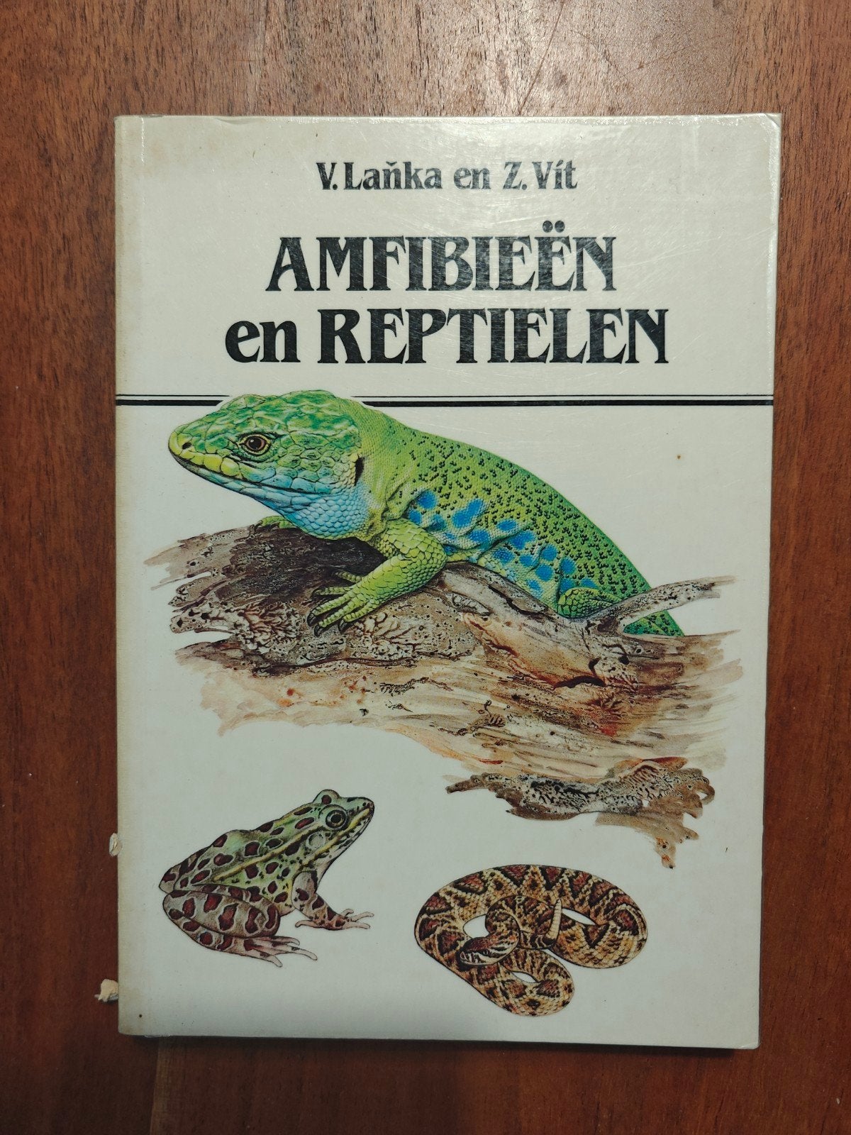 Amfibieën en Reptielen - V. Laňka en Z. Vít, Boeken, Ophalen of Verzenden, Gelezen, Natuur algemeen, V. Laňka en Z. Vít