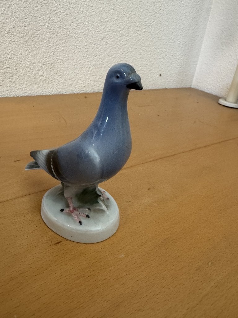 Porceleinen duif, Ophalen