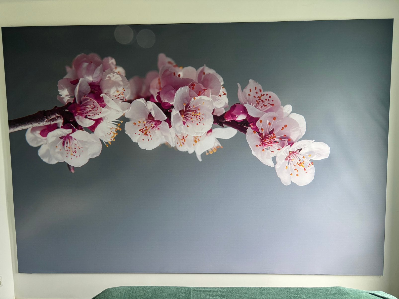 Schilderij op doek – bloesemtak – 200 x 300 cm, Huis en Inrichting, Ophalen, Zo goed als nieuw