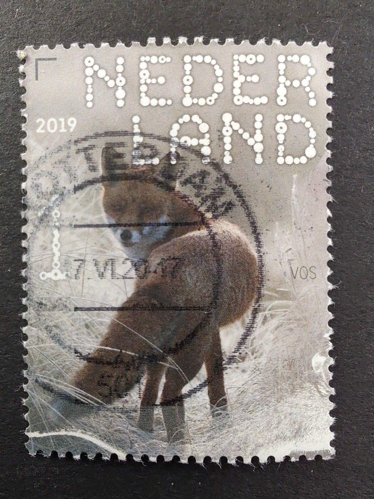 3718 vos 2019 beleef de natuur, Ophalen of Verzenden