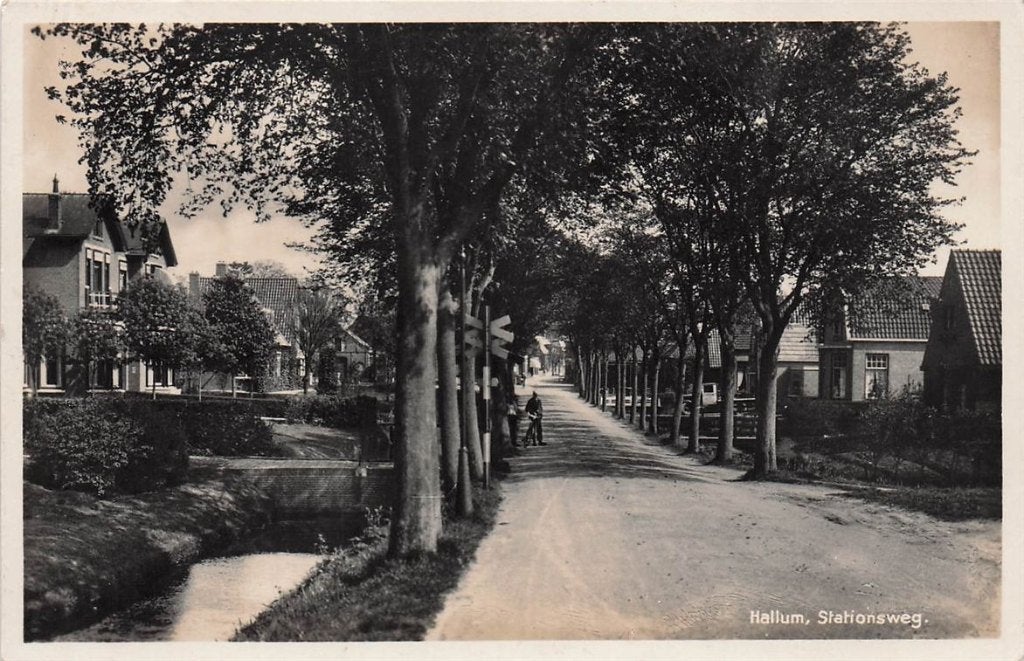 703-203-017 Hallum Stationsweg, Verzamelen, Ansichtkaarten | Nederland, Verzenden, Voor 1920, Friesland
