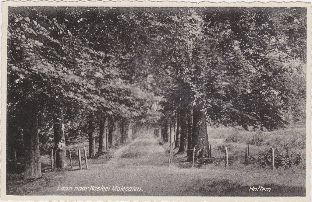 Ansichtkaarten Nederland, Ophalen of Verzenden, Voor 1920, Utrecht