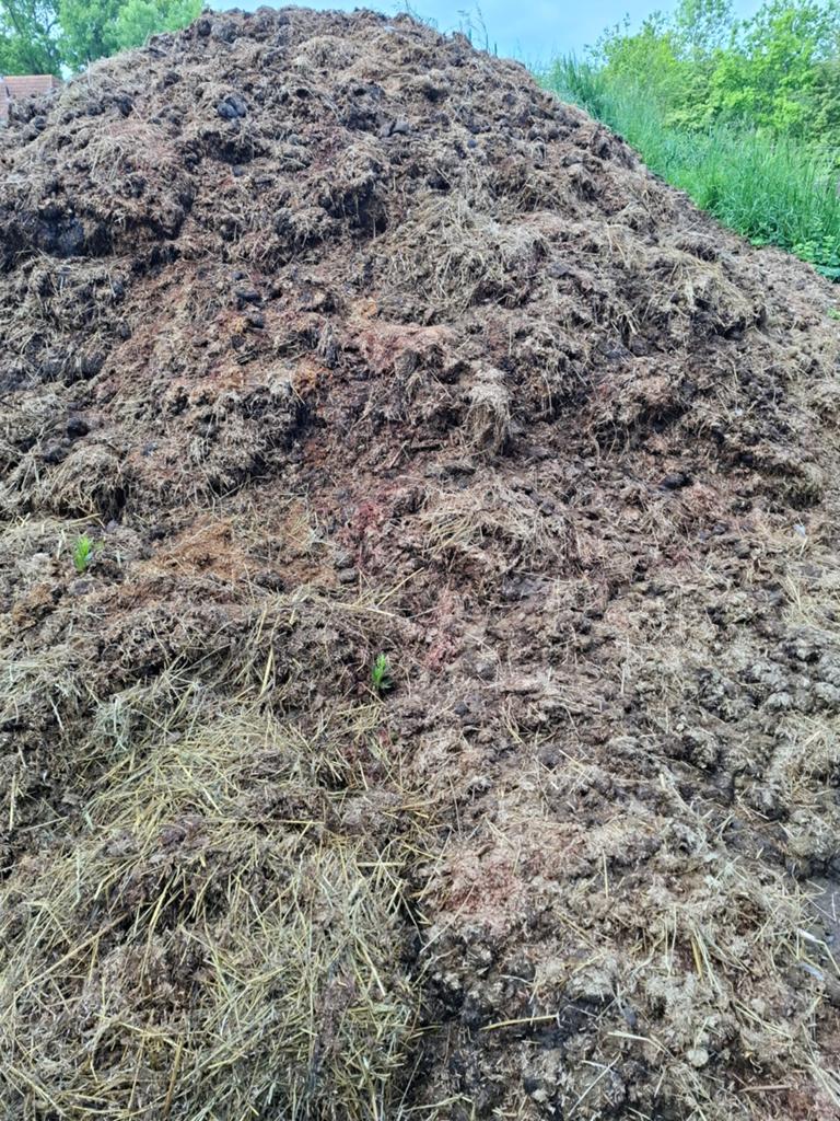 Gratis paardenmest, Tuin en Terras, Ophalen of Verzenden, Volle zon