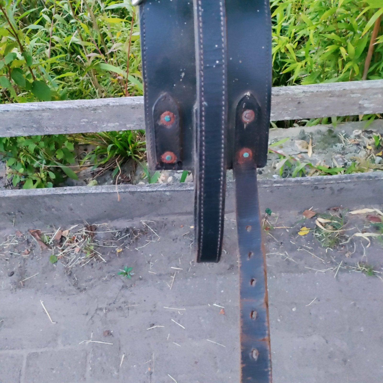 Voltigeer singel, Dieren en Toebehoren, Ophalen of Verzenden