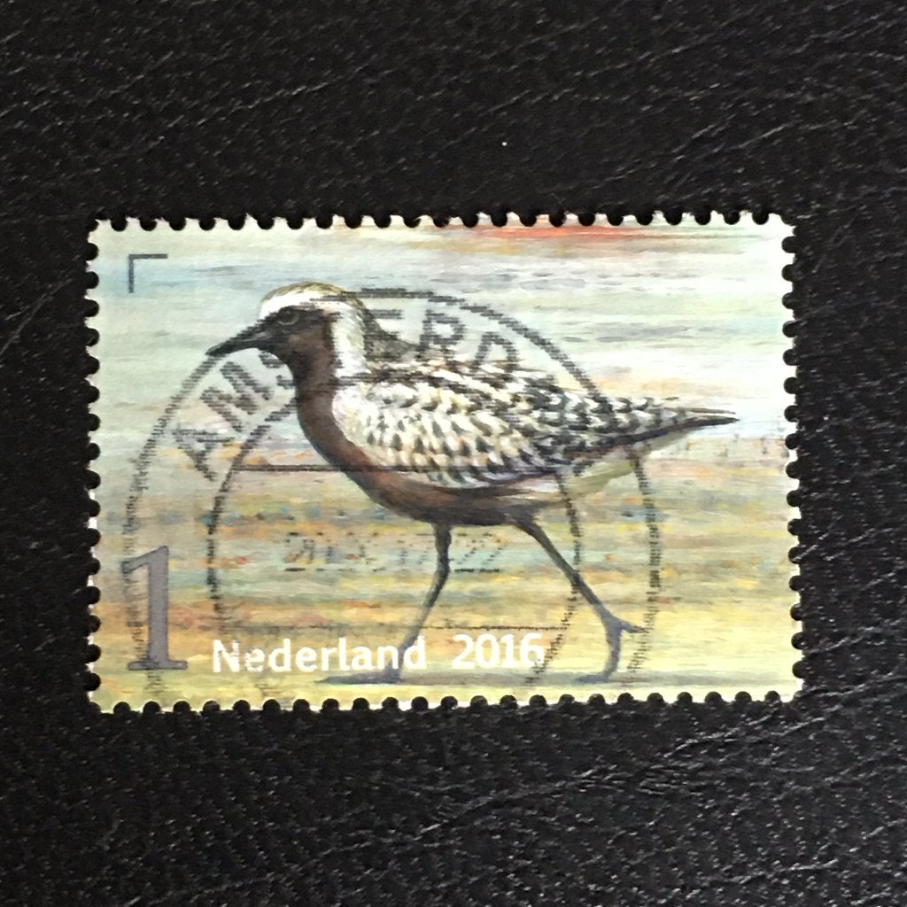 2005 Nederland 2016 NVPH 3406 Griend, Zilverplevier gestempe, Ophalen of Verzenden, Na 1940, Gestempeld