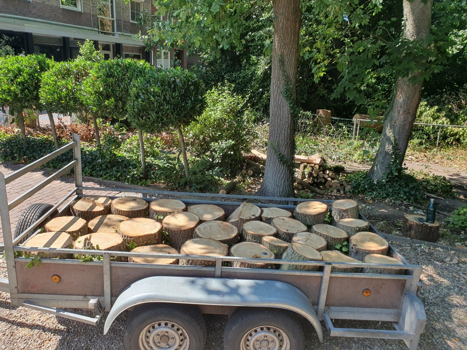 haardhout, eiken en tamme kastanje, 1,2m3, Tuin en Terras, Haardhout, Minder dan 3 m³, Ophalen