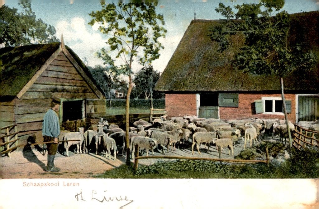 Laren NH Schaapskooi # 937, Verzamelen, Verzenden, Voor 1920, Gelopen, Noord-Holland