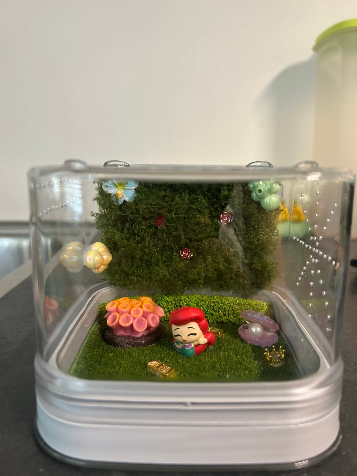 The little mermaid baby springspin terrarium, Dieren en Toebehoren, Overige soorten