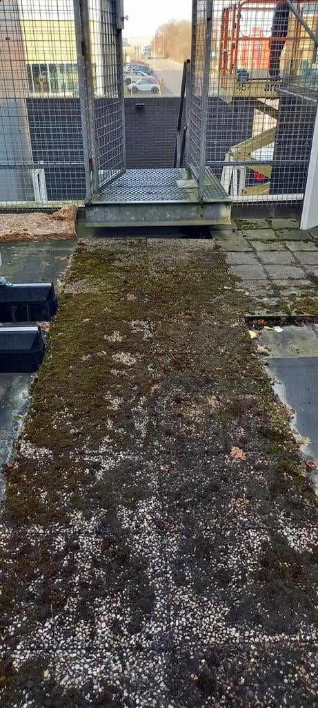 Gratis grindtegels 40x60, Ophalen, Gebruikt, Beton, Terrastegels