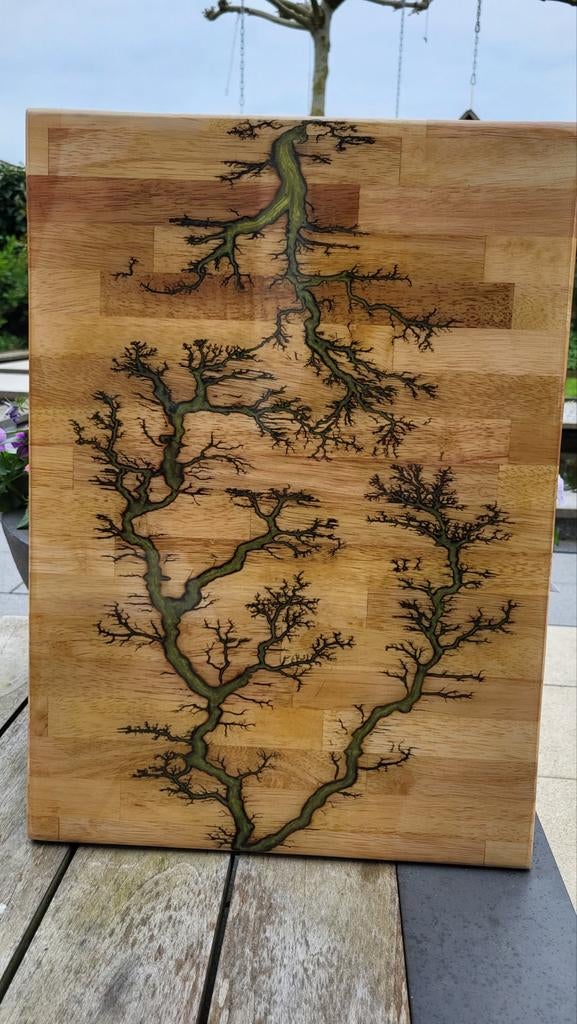 Woodburning, Antiek en Kunst, Kunst | Overige Kunst, Ophalen of Verzenden