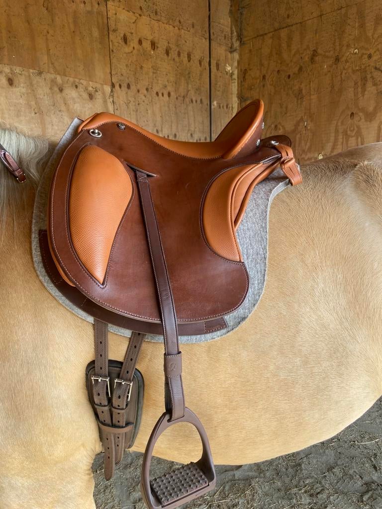 Deuber el Campo + toebehoren en bijbehorend Deuber hoofdstel, Ophalen of Verzenden, Zo goed als nieuw, Dressuur
