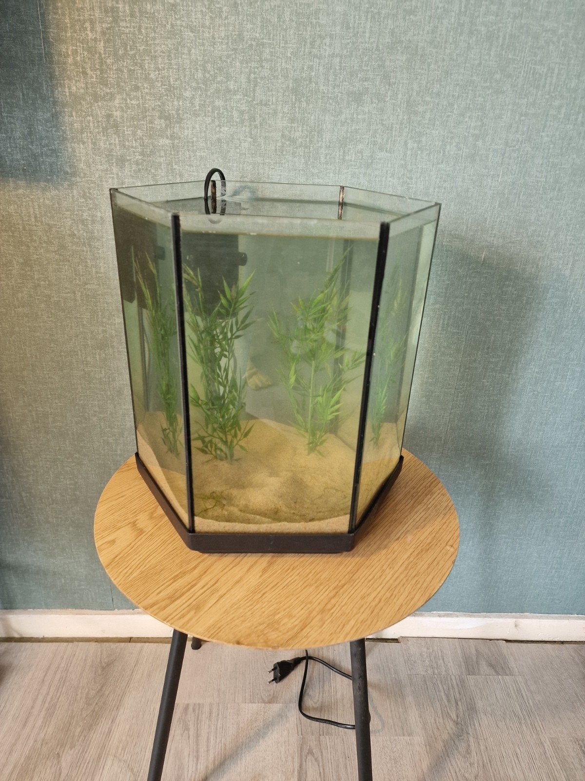klein 6hoekig aquarium, Ophalen, Leeg aquarium