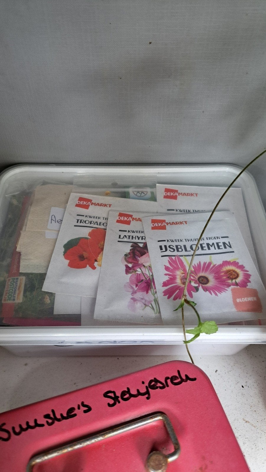 Heel veel verschillende soorten zaden (moestuin, kamerplant), Ophalen, Halfschaduw, Minder dan 100 cm