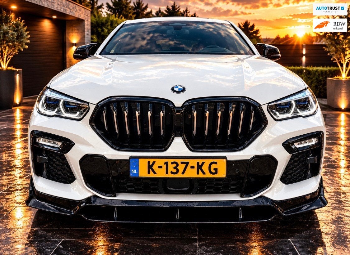 BMW X6 M-Uitvoering XDrive40i High Executive, Automaat, Dealer onderhouden, Gebruikt, Bedrijf