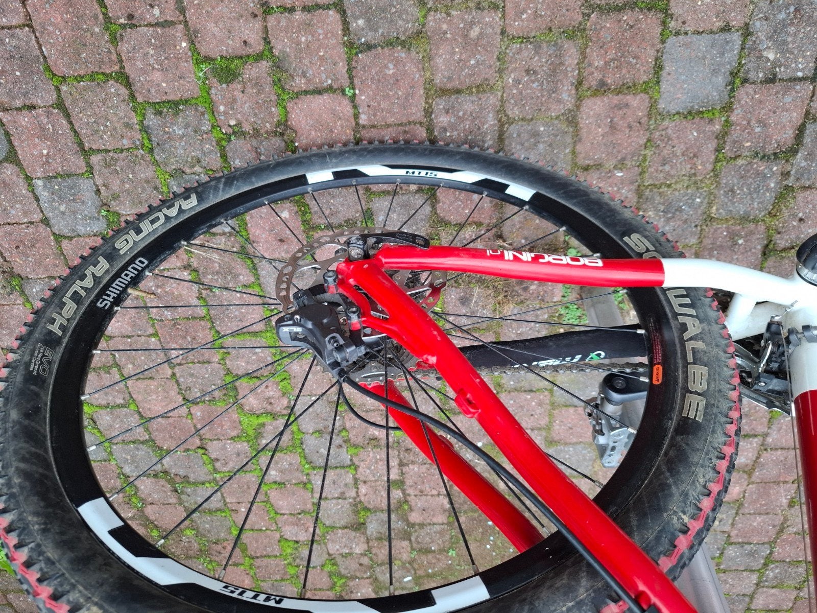 Borgini Mountainbike - Lichte gebruikerssporen, Ophalen