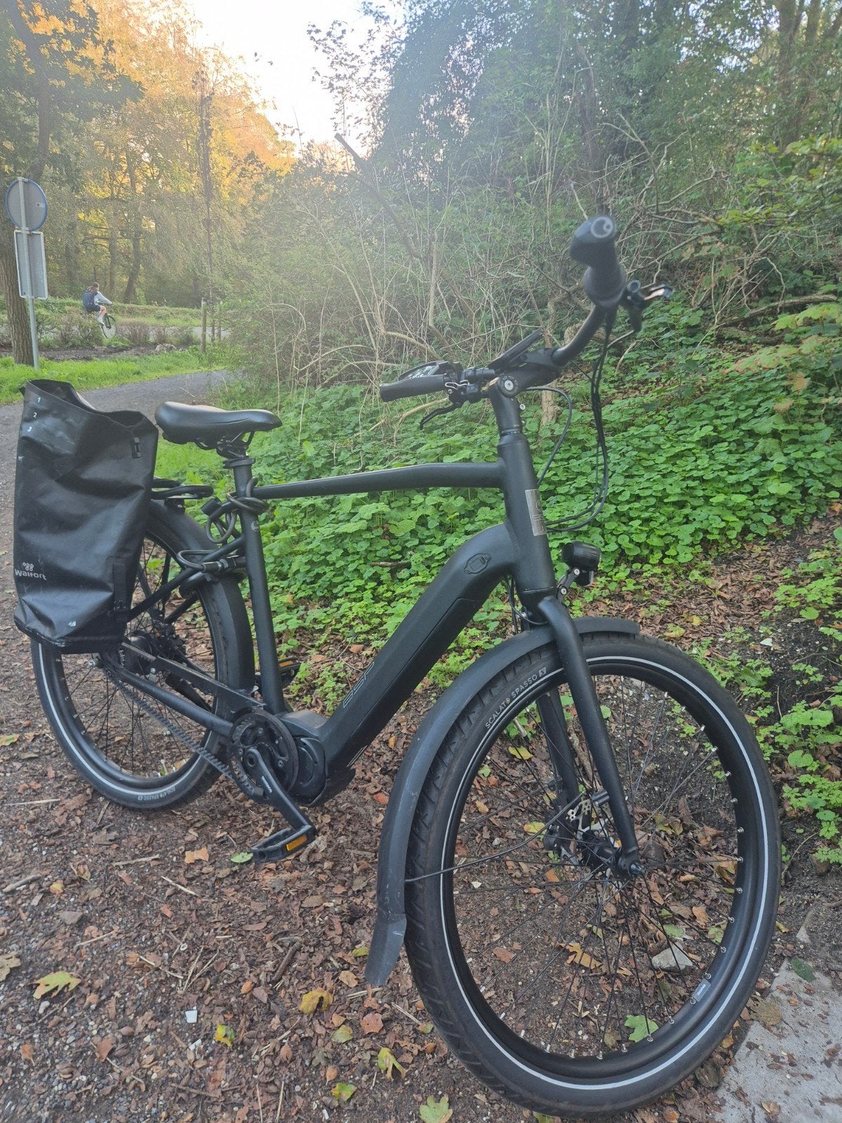 BSP elektrische E-bike fiets 58cm, Ophalen of Verzenden, Zo goed als nieuw, Overige merken
