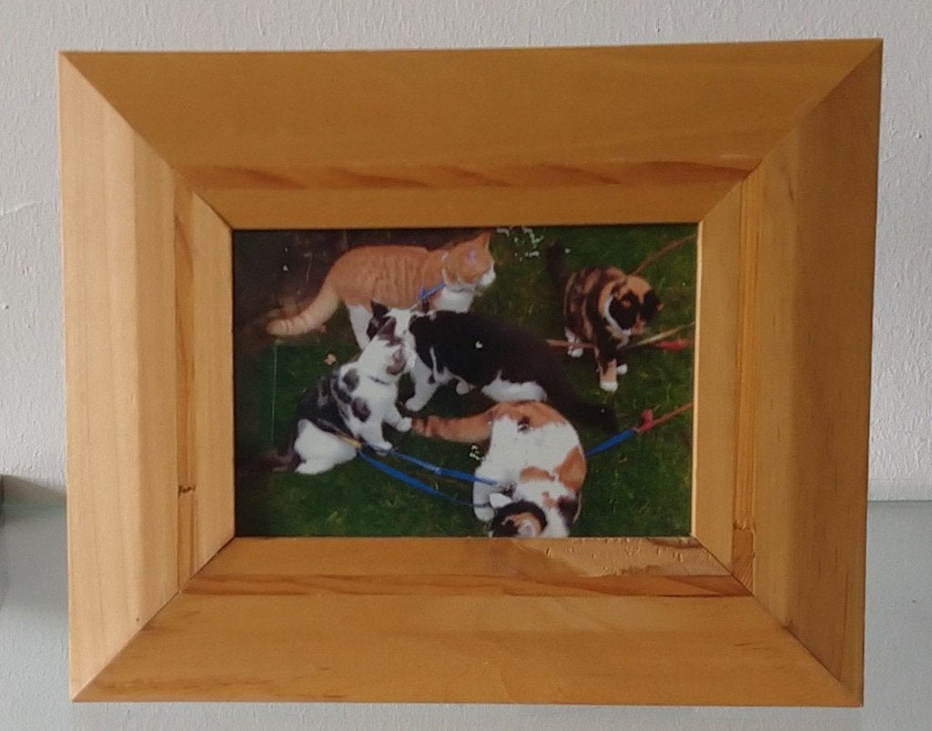 foto wissellijstje hout, volgnr 18, Ophalen of Verzenden, Zo goed als nieuw, Hout